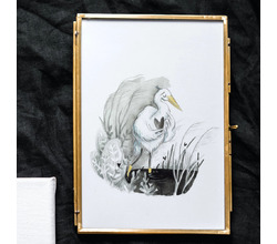 eva_tack_illustraties_postkaartje_zilverreiger_met_hartje[1].jpg